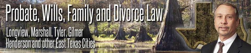 Family Law and Divorce Attorney